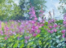 Colin Halliday